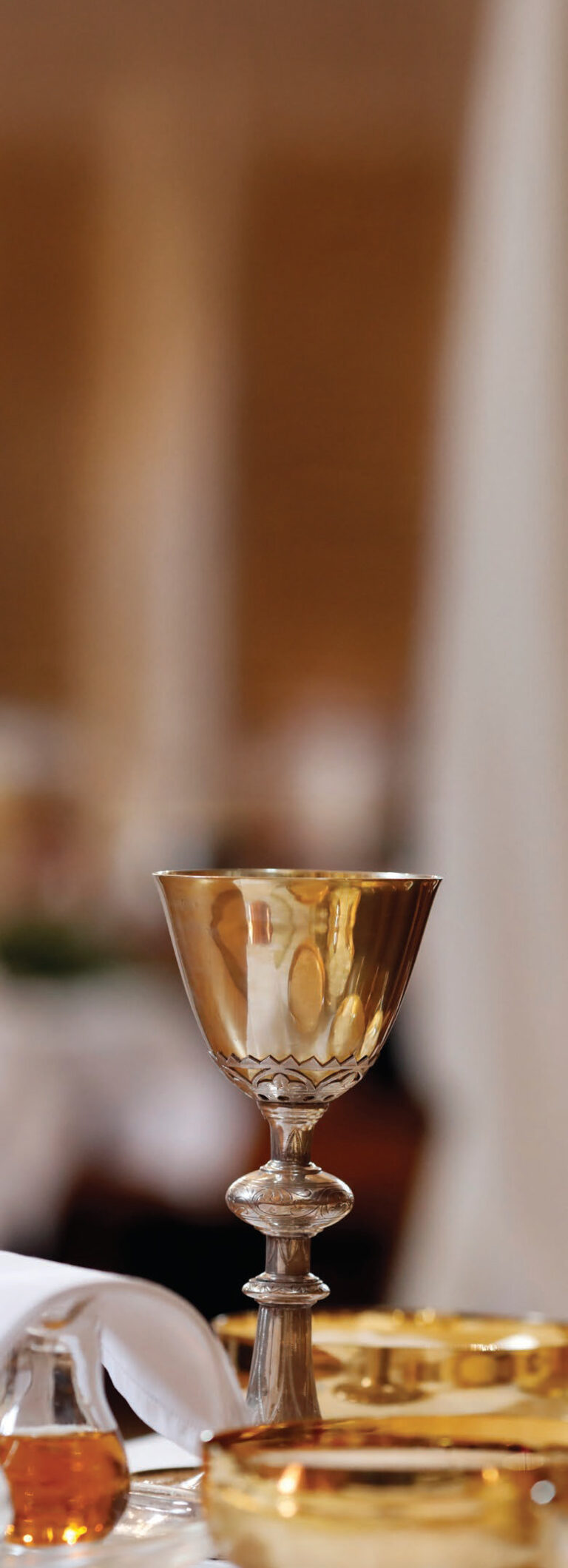 The Gift of Our Catholic Identity